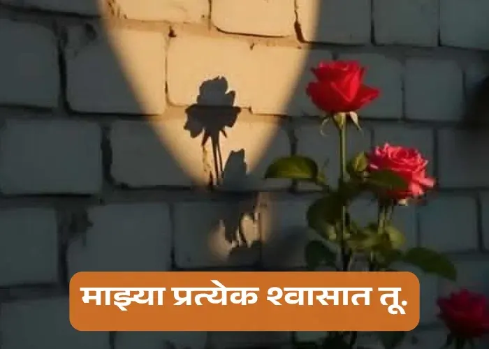 Short Love Quotes In Marathi