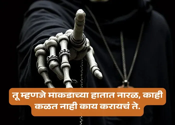 टोमणे Taunting Quotes in Marathi
